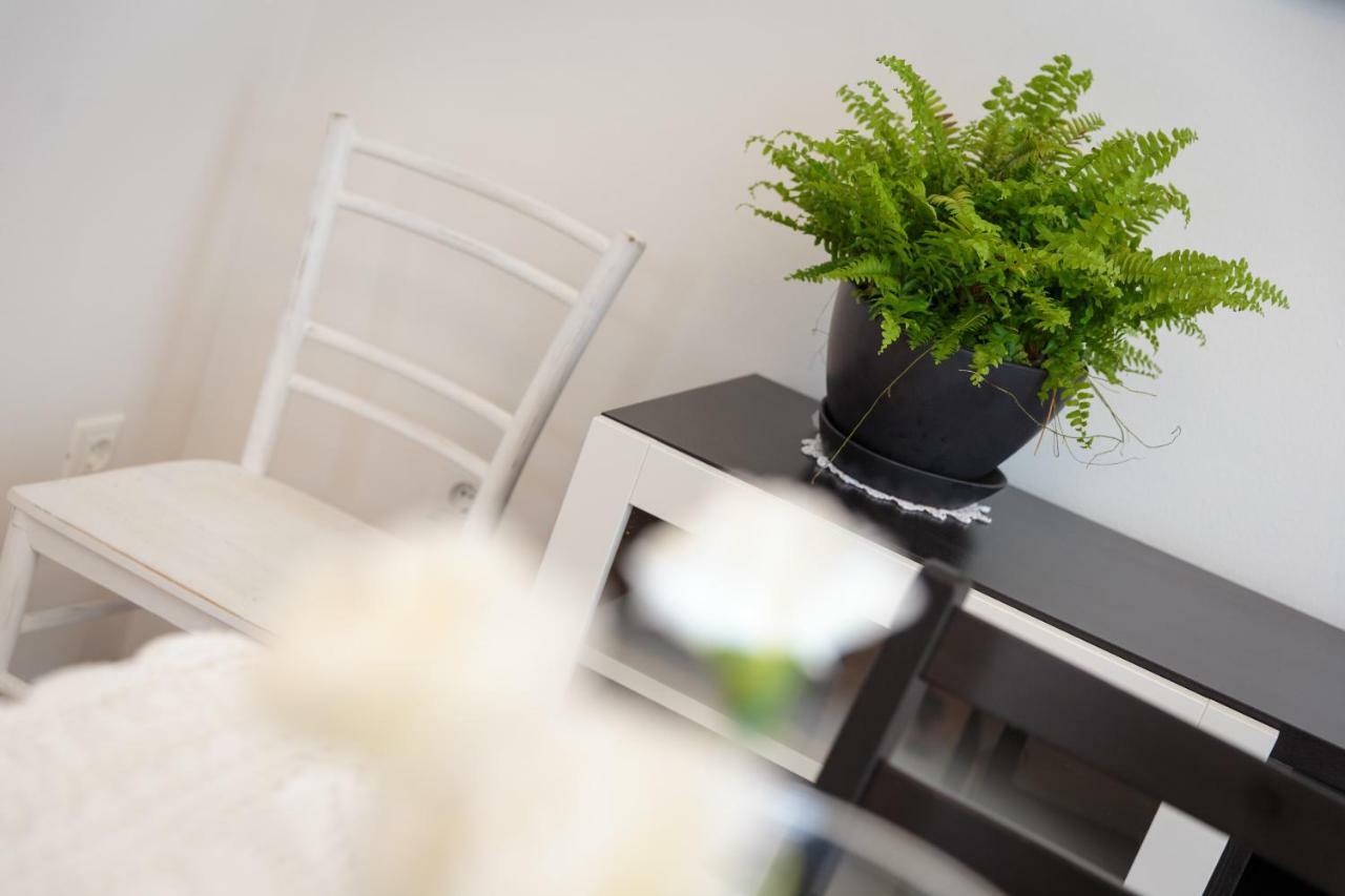 Apartments C52 Rovinj Extérieur photo